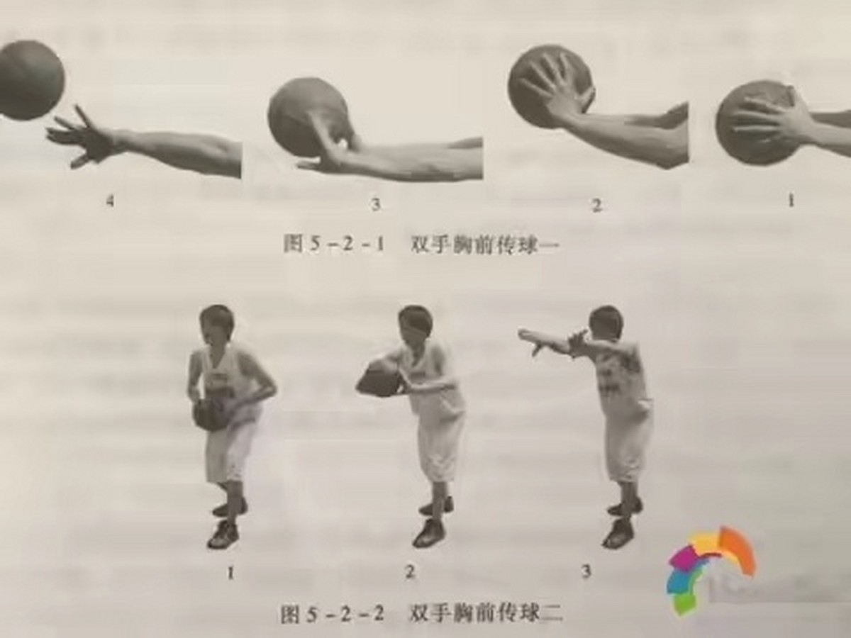 篮球训练心得体会200字左右作文_1